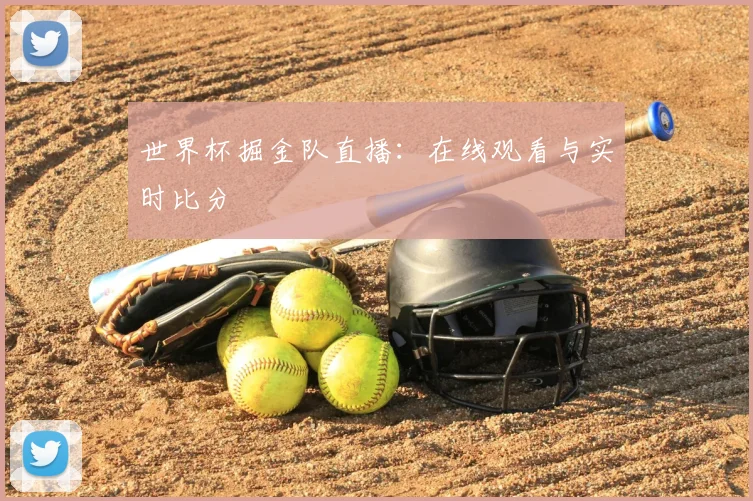 世界杯掘金队直播:在线观看与实时比分