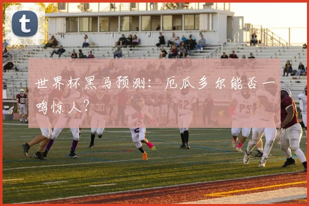 世界杯黑马预测:厄瓜多尔能否一鸣惊人?